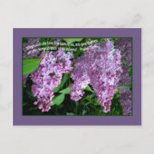 LILAC    TIMEPostcard Postkarte (Vorderseite)