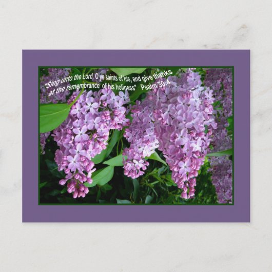 LILAC    TIMEPostcard Postkarte (Vorderseite)