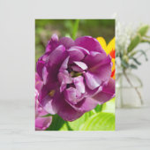 Lilac tulips an einem sonnigen Tag (Stehend Vorderseite)