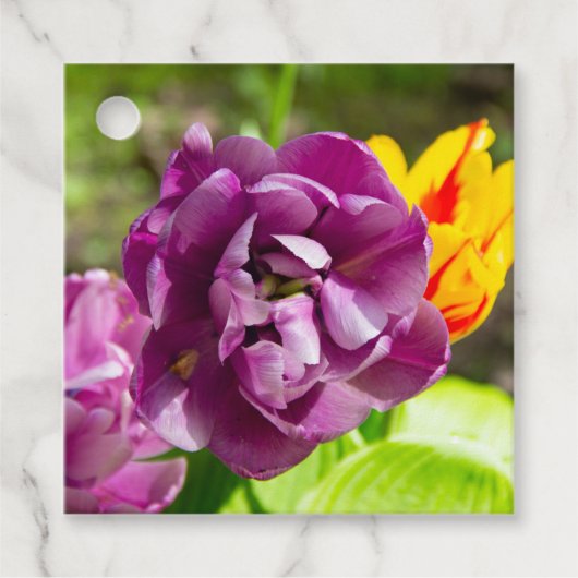 Lilac tulips an einem sonnigen Tag Geschenkanhänger (Vorderseite)