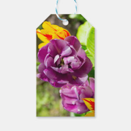 Lilac tulips an einem sonnigen Tag Geschenkanhänger