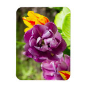 Lilac tulips an einem sonnigen Tag Magnet (Vertikal)