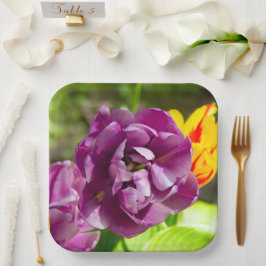 Lilac tulips an einem sonnigen Tag Pappteller