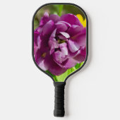 Lilac tulips an einem sonnigen Tag Pickleball Schläger (Rückseite)