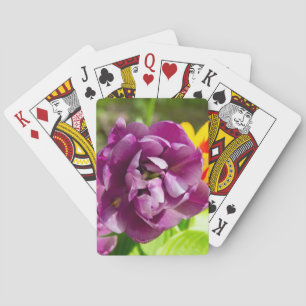 Lilac tulips an einem sonnigen Tag Spielkarten