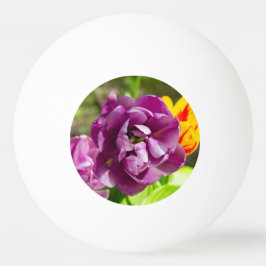 Lilac tulips an einem sonnigen Tag Tischtennisball