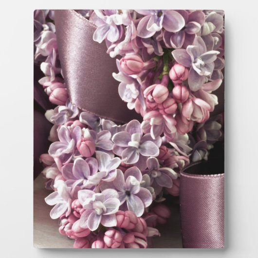 Lilac- und Flachbandbahnen Fotoplatte (Vorderseite)