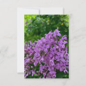 Lilac Wedding lila Lavendel Einladung (Rückseite)