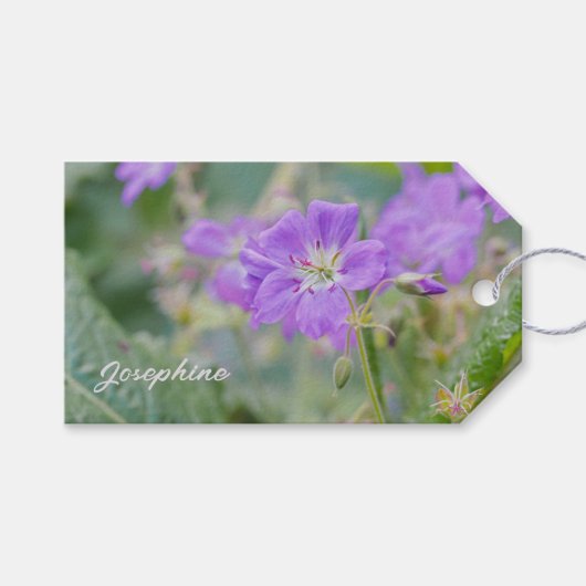 Lilac Wildblume Foto Geranium Botanische Blume Geschenkanhänger (Vorderseite (Horizontal))