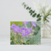 Lilac Wildblume Foto Geranium Botanische Blume Postkarte (Stehend Vorderseite)