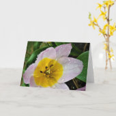 Lilac Wonder Tulip, Karte (Gelbe Blume)