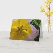 Lilac Wonder Tulip, Karte (Gelbe Blume)