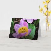 Lilac Wonder Tulip, Karte (Gelbe Blume)