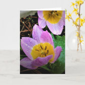 Lilac Wonder Tulip, Karte (Gelbe Blume)
