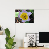 Lilac Wonder Tulip, Poster (Heimbüro)