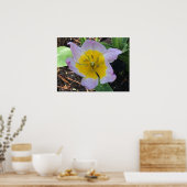 Lilac Wonder Tulip, Poster (Küche)