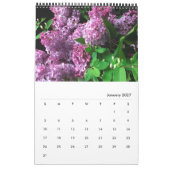 Lilacs - ALLE LILACS!!  Foto Kalender (Jan 2027)