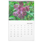 Lilacs - ALLE LILACS!!  Foto Kalender (Mär 2027)