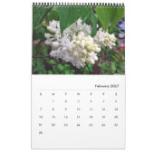 Lilacs - ALLE LILACS!!  Foto Kalender (Feb 2027)
