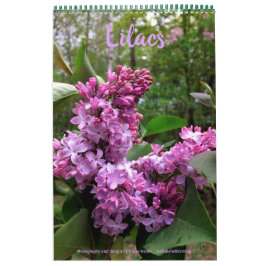 Lilacs - ALLE LILACS!! Foto Kalender
