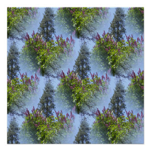 Lilacs am Himmel.... Poster