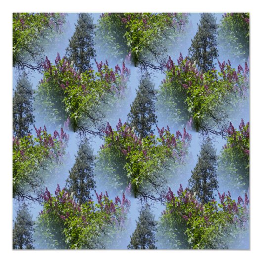 Lilacs am Himmel.... Poster (Vorderseite)