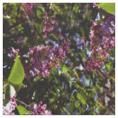 Lilacs an der Wand... Stoff (Nahaufnahme)