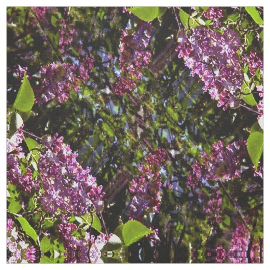 Lilacs an der Wand... Stoff (Muster)