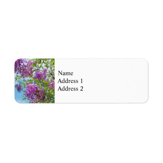 Lilacs an einem sonnigen Tag (Vorne)