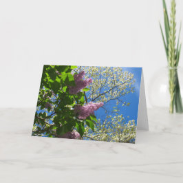 Lilacs and Cherry Blossoms - Martha's Vineyard Karte