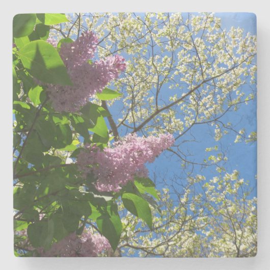 Lilacs and Cherry Blossoms - Martha's Vineyard Steinuntersetzer (Vorderseite)