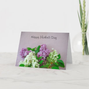Lilacs auf einem blassrosa Hintergrund Karte