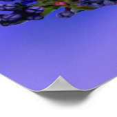 Lilacs & Butterfly Poster (Ecke)