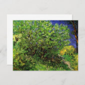 Lilacs by Vincent van Gogh, Vintag Garden Blume (Vorne/Hinten)
