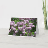 Lilacs Dankeskarte (Vorderseite)