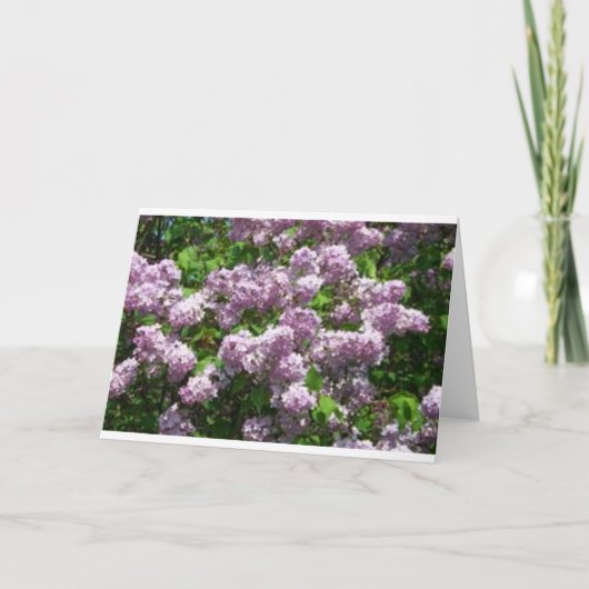 Lilacs Dankeskarte (Vorderseite)