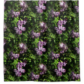 Lilacs...... Duschvorhang (Vorderseite)