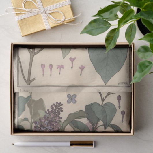 Lilacs, Eugene Grasset Botany Serie Seidenpapier (Geschenk)