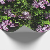 Lilacs....... Geschenkpapier (Ecke)