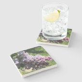 Lilacs im Familienpark Steinuntersetzer (Seitenansicht)