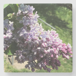 Lilacs im Familienpark Steinuntersetzer