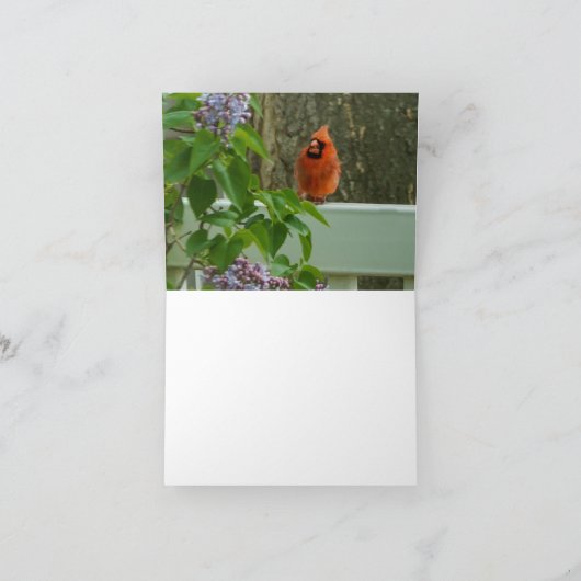 Lilacs im Frühling Karte (Innenseite)