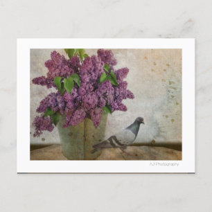 Lilacs in an old Rusty Bucket Postkarte