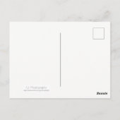 Lilacs in an old Rusty Bucket Postkarte (Rückseite)