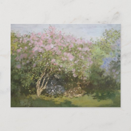 Lilacs in der Sonne von Claude Monet Postcard Postkarte (Vorderseite)