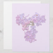 Lilacs in Springtime (Vorne/Hinten)