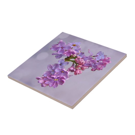 Lilacs in Springtime Fliese (Seite)
