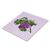 Lilacs Just Opening Fliese (Seite)