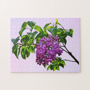 Lilacs Just Opening Puzzle