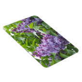Lilacs Magnet (Rechte Seite)